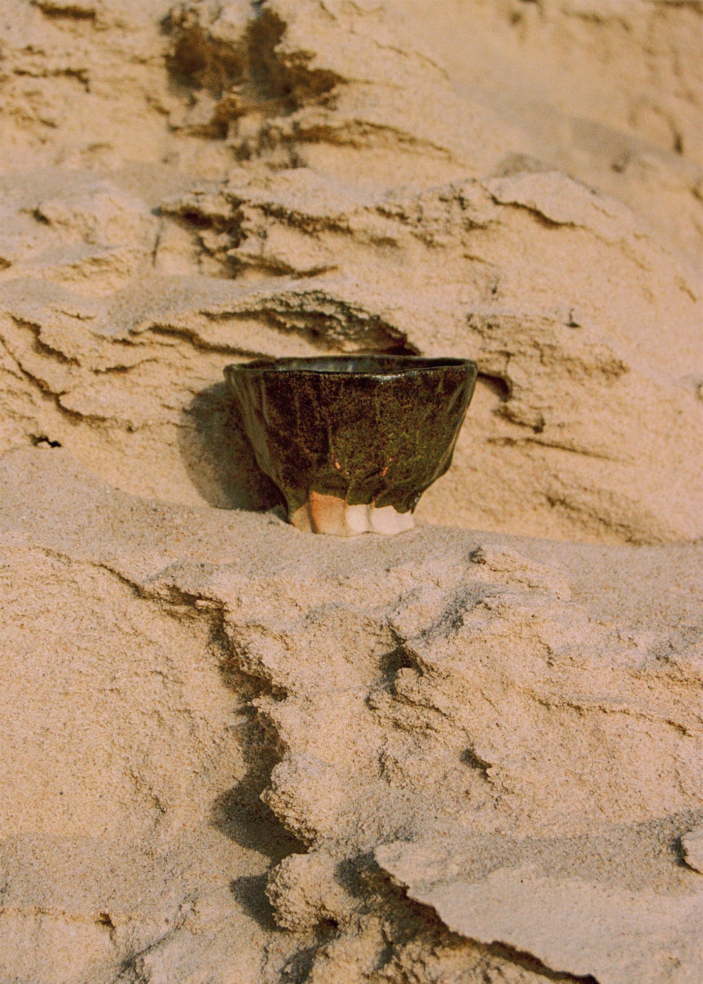 Bolín Bark