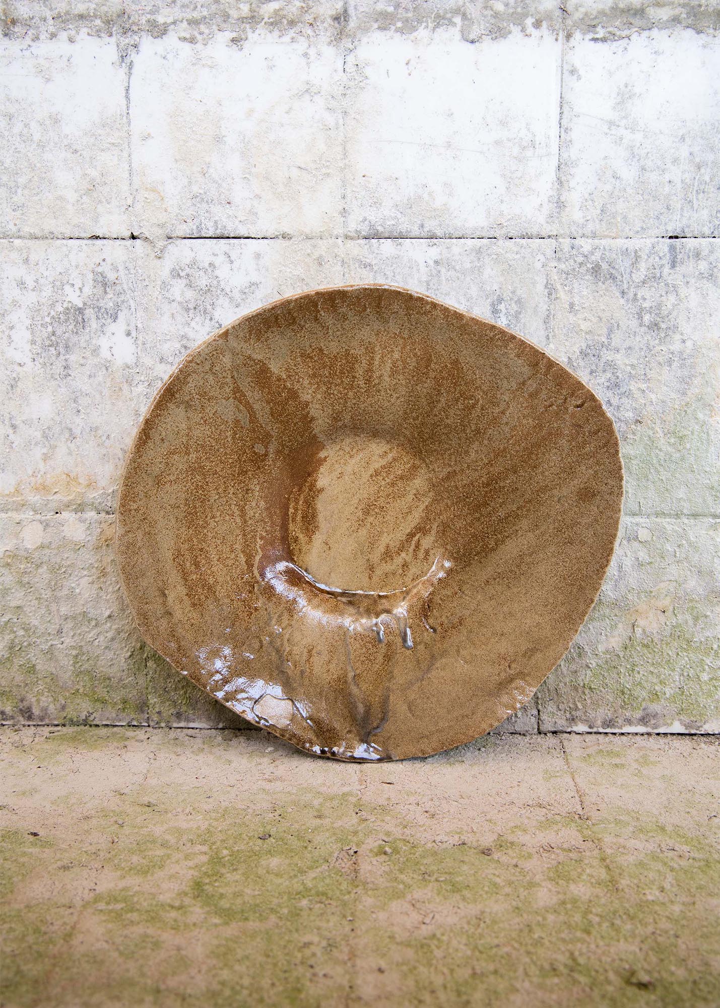 Escudella Root