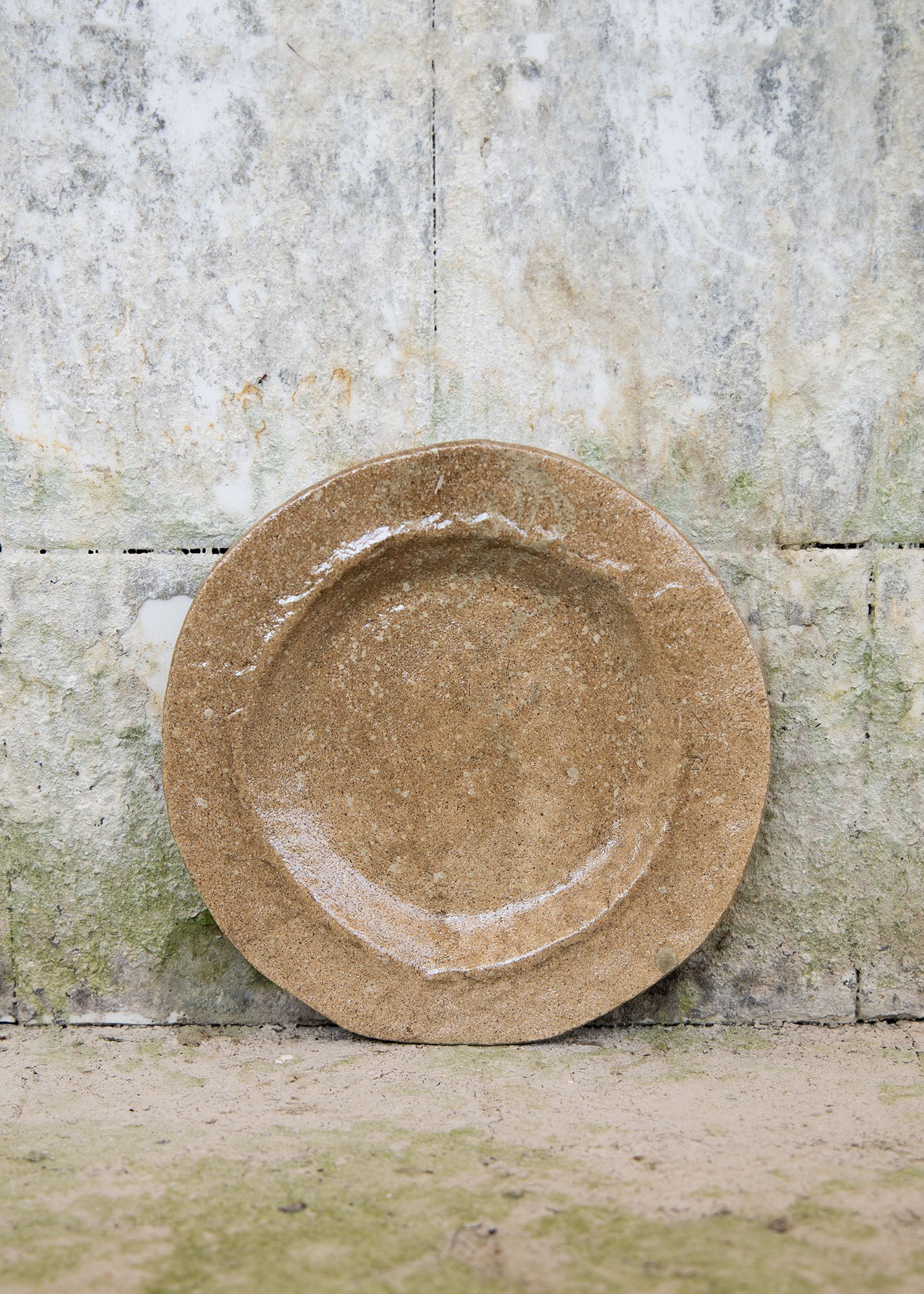 Plat mitjà Root
