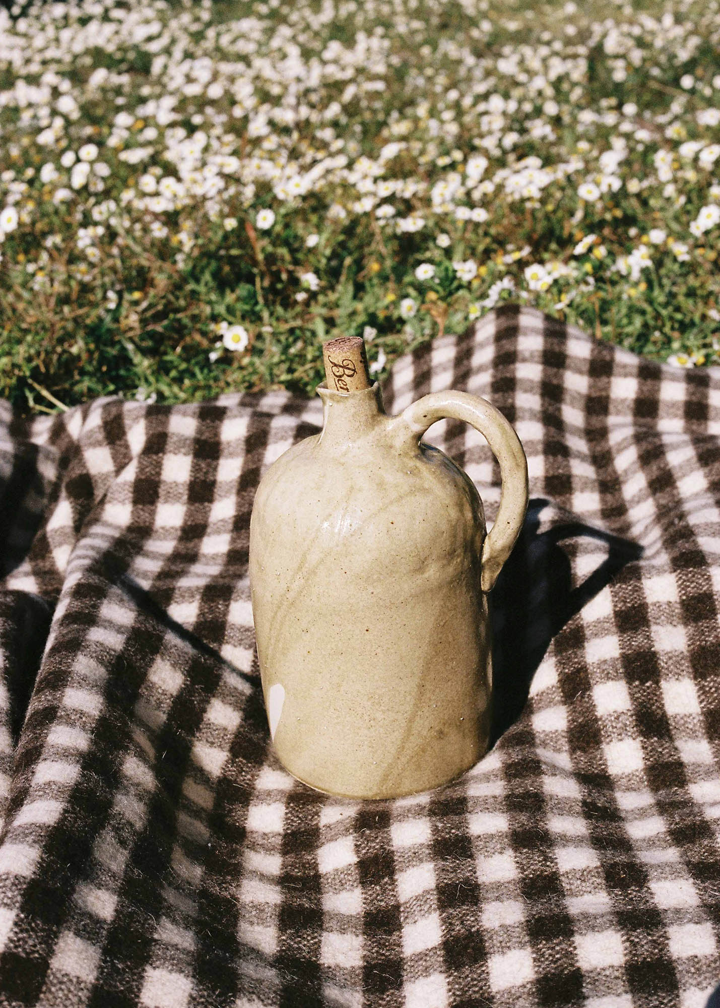 Pitxer Root
