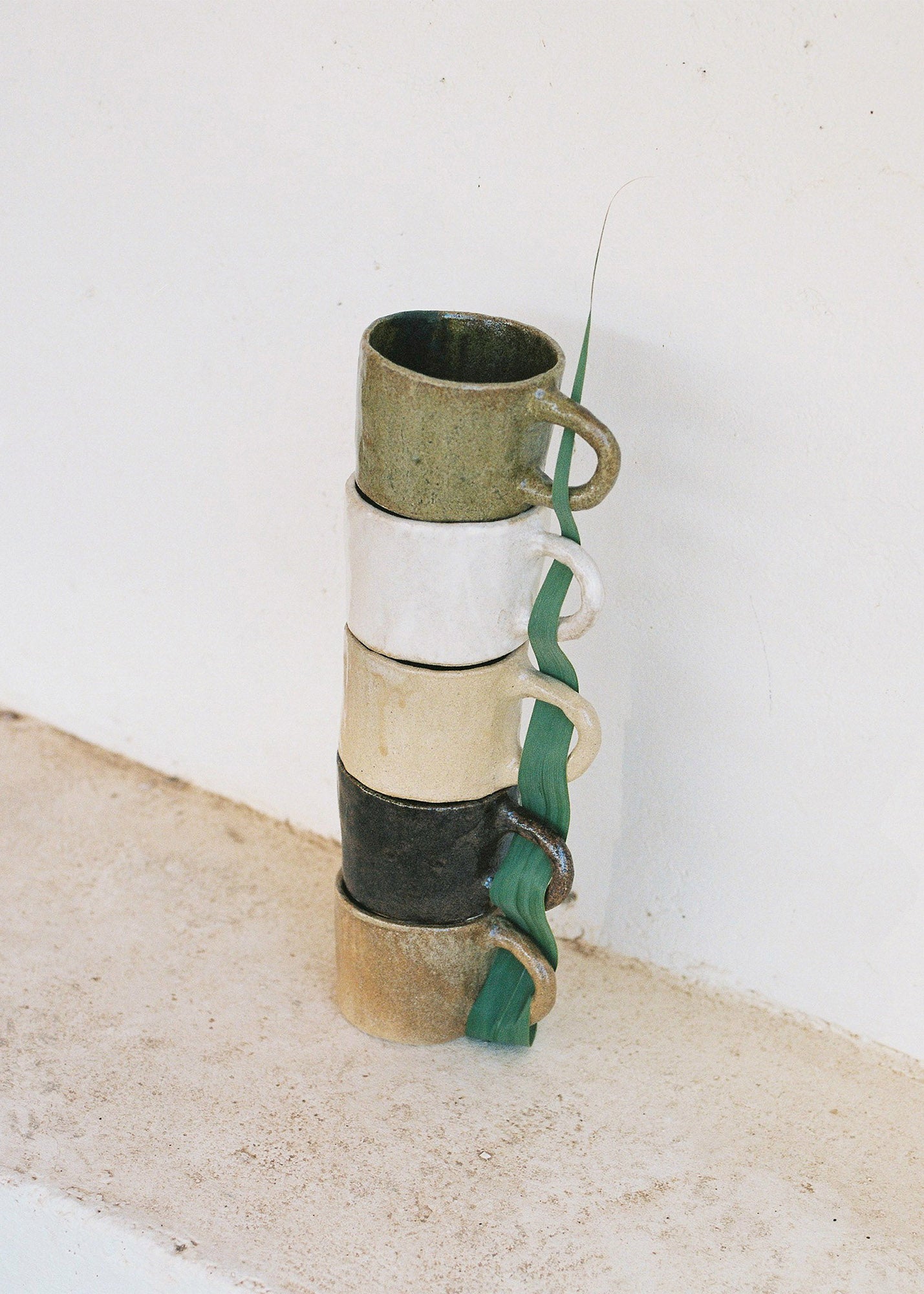 Tassa Root