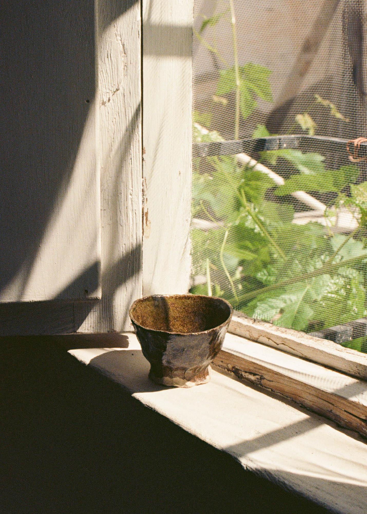 Bolín Bark
